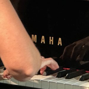 Pack de 4 classes de 45 minuts individuals d’instrument.